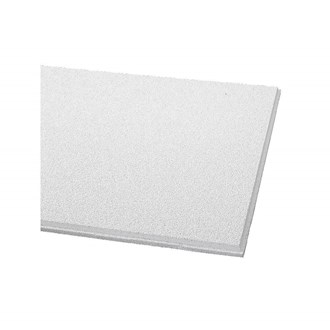 Acoustical Ceiling Tile 24