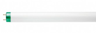 32W T8 4' 3500K Fluorescent Lamp 