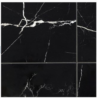 Artmore Tile Grace Nero 24 in. x 24 in. Polished Marble Look Porcelain Floor and Wall Tile (4 Pieces 15.49 Sq. Ft. per Case)