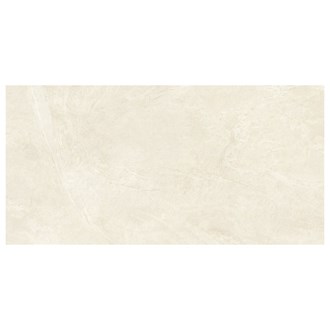 12x24 Snow Matte Atlas Concorde HERO Color Body Porcelain V2