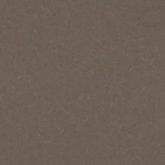 Laminate Sheet - inEvening Tigrisin - Matte Finish - 4 ft x 8 ft -Countertop Grade -